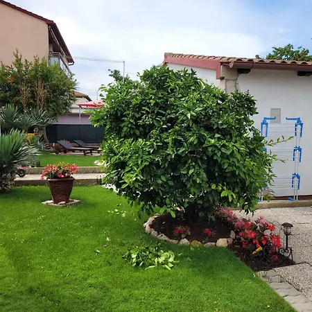In Fazana/istrien 8306